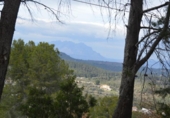 Non-developable land for sale on España, Corbera de Llobregat, ref: TR115414 photo