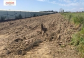 Non-developable land for sale on España, Chipiona, ref: TR115492 photo