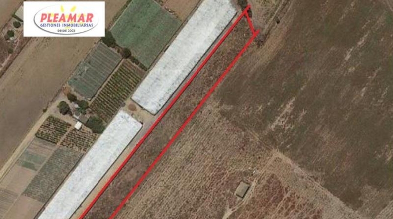 Cádiz - Chipiona - 2240m2