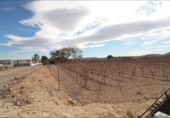 Finca rústica en venda a la España, Novelda, ref.: TR302620 foto
