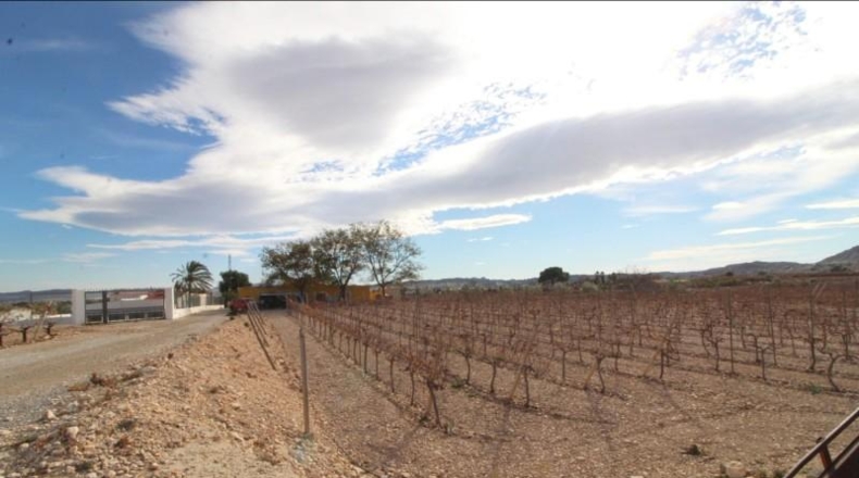 Alicante - Новельда - 9030m2