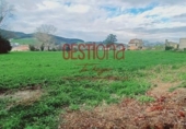 Land suitable for development for sale on España, San Miguel de Meruelo, ref: TR119976 photo