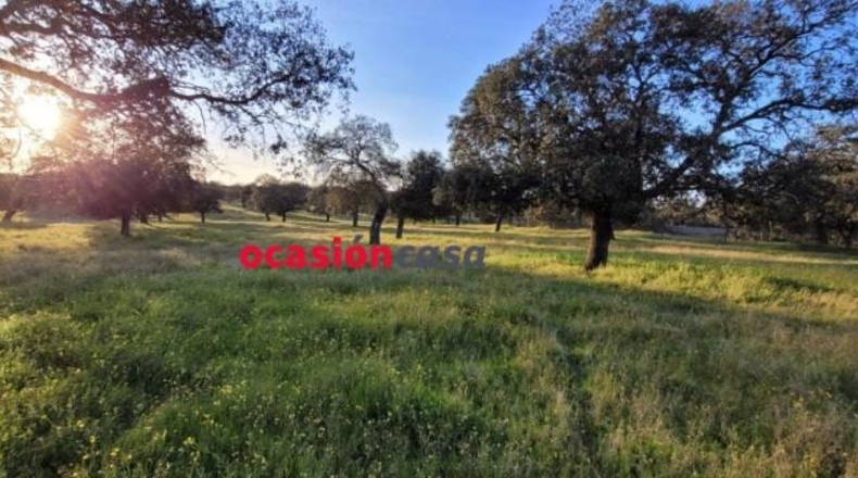 Córdoba - Pozoblanco - 67048m2