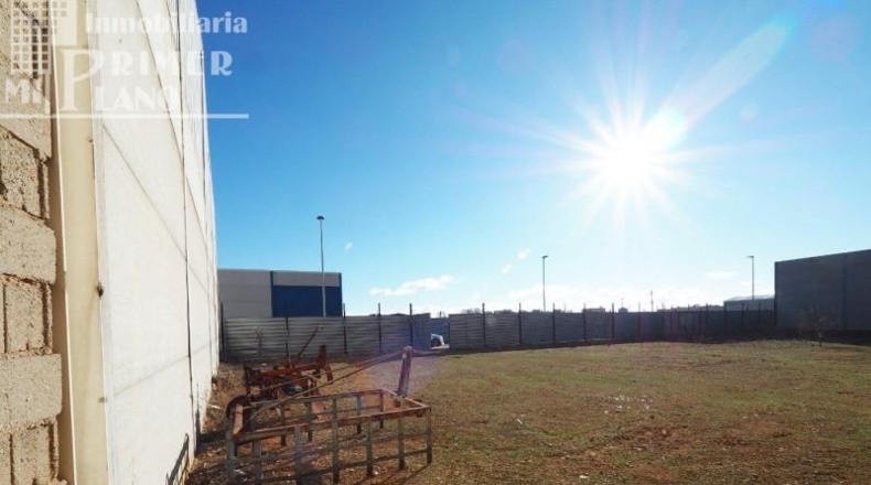 Ciudad Real - Tomelloso - 593m2