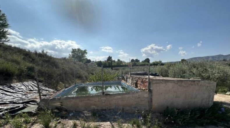 Alicante - Monóvar - 8500m2