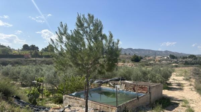 Alicante - Monóvar - 8500m2