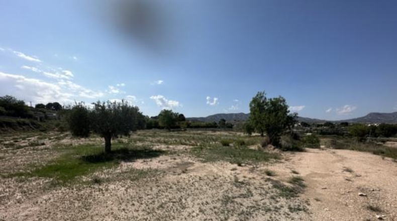 Alicante - Monóvar - 8500m2