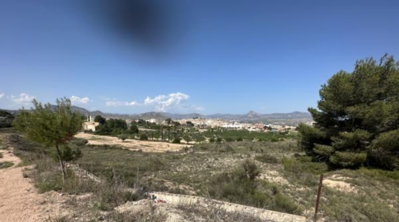 Alicante - Monóvar - 8500m2