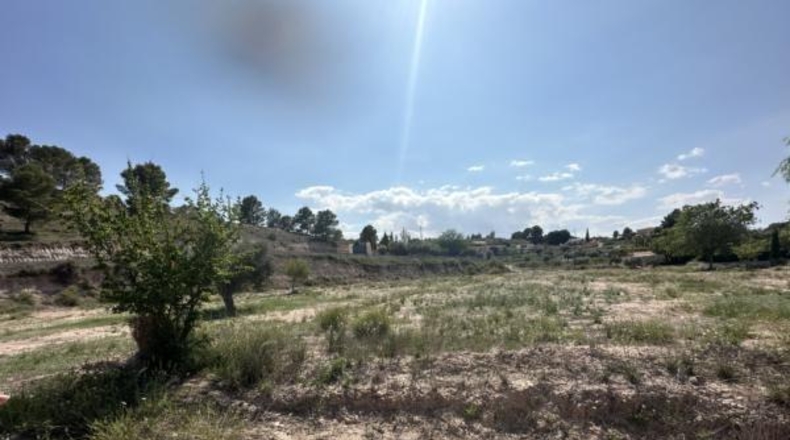 Alicante - Monóvar - 8500m2