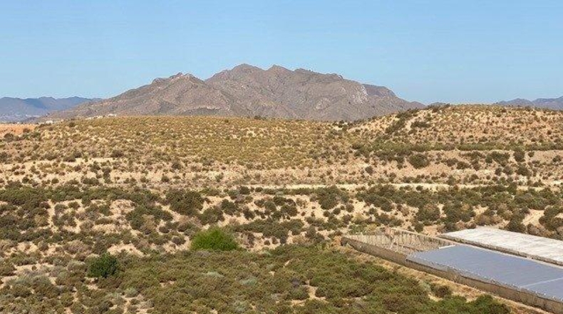 Múrcia - Mazarrón - 13122m2