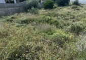 House with land for sale on España, Calafell, ref: TR298278 photo