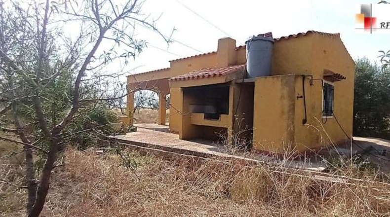 Castellón - Торребланка - 17051m2