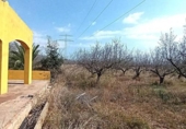 Загородный дом с участком на продажу в городе Torreblanca Фото