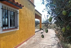 Foto 14