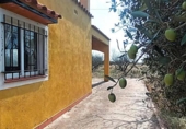 Загородный дом с участком на продажу в городе Torreblanca Фото