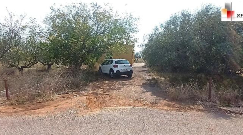 Castellón - Торребланка - 17051m2