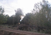 Terreny no urbanitzable en venda a la España, Pelabravo, ref.: TR114353 foto
