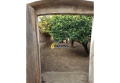 Parcel·la urbanitzable en venda a la España, Pineda de Mar, ref.: TR354969 foto