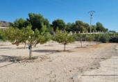 Casa de camp amb terreny en venda a la España, la Romana, ref.: TR295528 foto
