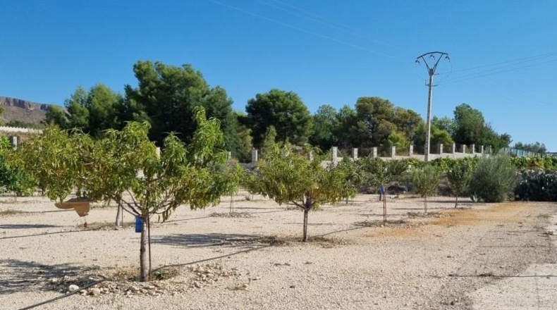 Alicante - Романа - 22m2