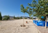 Casa de camp amb terreny en venda a la España, la Romana, ref.: TR295528 foto