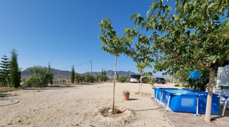 Alicante - Романа - 22m2