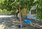 Casa de camp amb terreny en venda a la España, la Romana, ref.: TR295528 foto