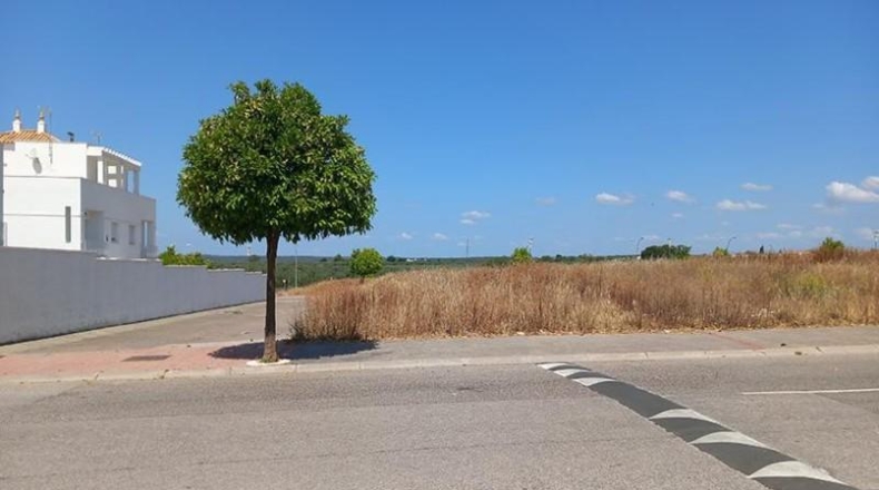 Sevilla - Gerena - 2400m2