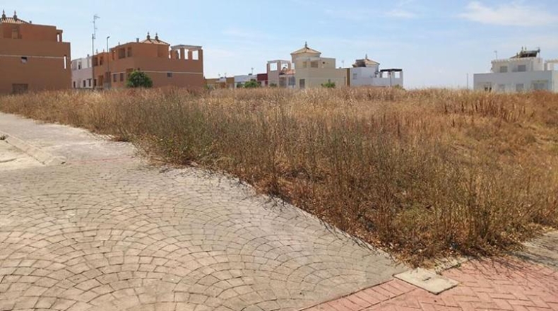 Sevilla - Gerena - 2400m2