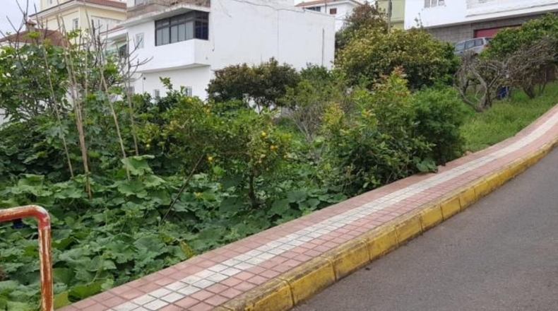 Las Palmas - Firgas - 497m2