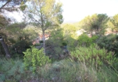Parcel·la urbanitzable en venda a la España, Vacarisses, ref.: TR113619 foto