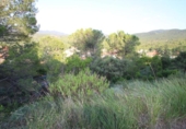Parcel·la urbanitzable en venda a la España, Vacarisses, ref.: TR113619 foto