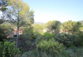 Parcel·la urbanitzable en venda a la España, Vacarisses, ref.: TR113619 foto