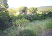 Parcel·la urbanitzable en venda a la España, Vacarisses, ref.: TR113619 foto