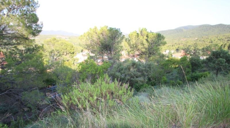 Barcelona - Vacarisses - 580m2