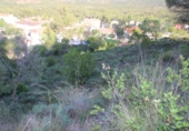 Parcel·la urbanitzable en venda a la España, Vacarisses, ref.: TR113619 foto