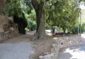 Land suitable for development for sale on España, la Joncosa del Montmell, ref: TR121731 photo