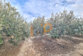 Puerto Lumbreras 14000&nbsp;m² 