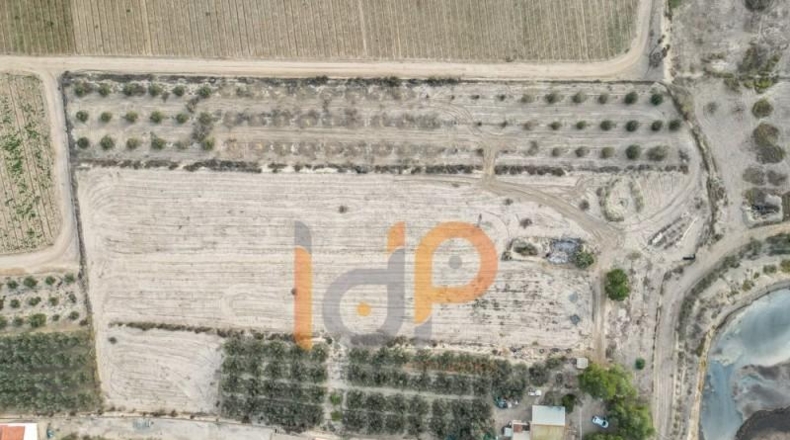 Murcia - Puerto Lumbreras - 14000m2