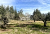 Terreny no urbanitzable en venda a la España, el Perelló, ref.: TR218632 foto