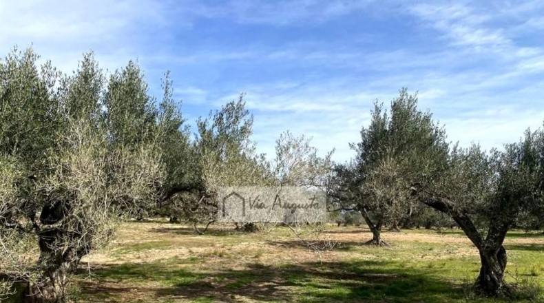 Tarragona - el Perelló - 33328m2