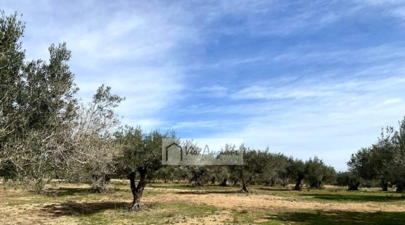 Tarragona - el Perelló - 33328m2