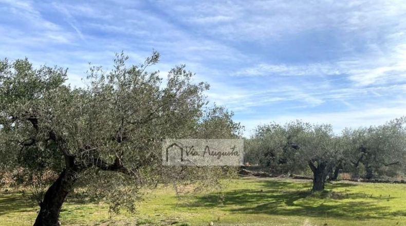 Tarragona - el Perelló - 33328m2