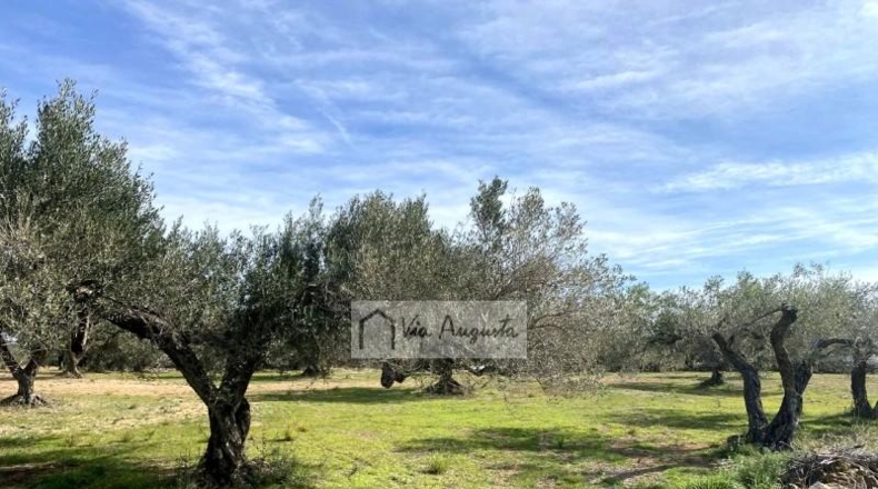 Tarragona - el Perelló - 33328m2