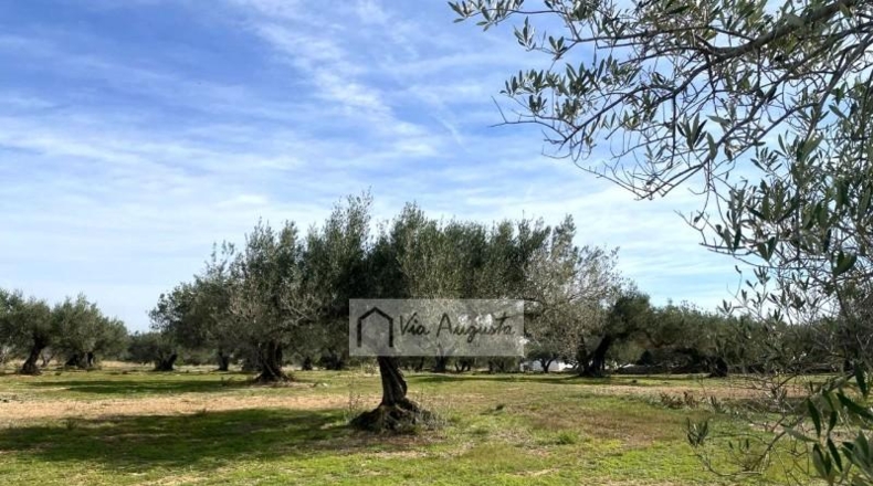 Tarragona - el Perelló - 33328m2