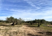 Terreny no urbanitzable en venda a la España, el Perelló, ref.: TR218632 foto