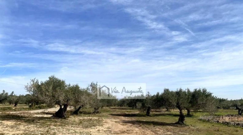 Tarragona - el Perelló - 33328m2