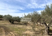 Terreny no urbanitzable en venda a la España, el Perelló, ref.: TR218632 foto
