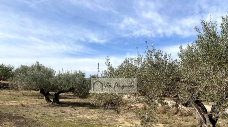 Tarragona - el Perelló - 33328m2
