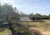 Terreny no urbanitzable en venda a la España, el Perelló, ref.: TR218632 foto